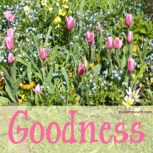 goodness